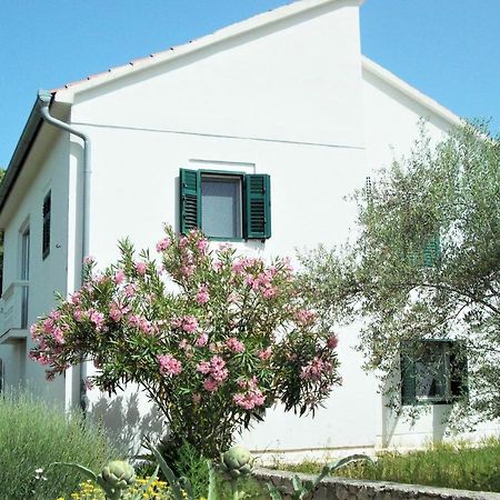 Rustic Holiday Home Miketa Lukoran Dış mekan fotoğraf
