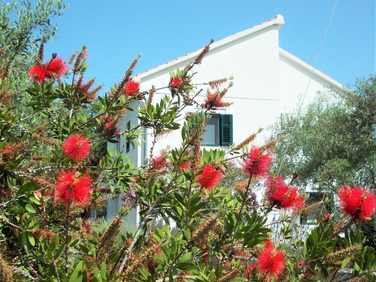 Rustic Holiday Home Miketa Lukoran Dış mekan fotoğraf