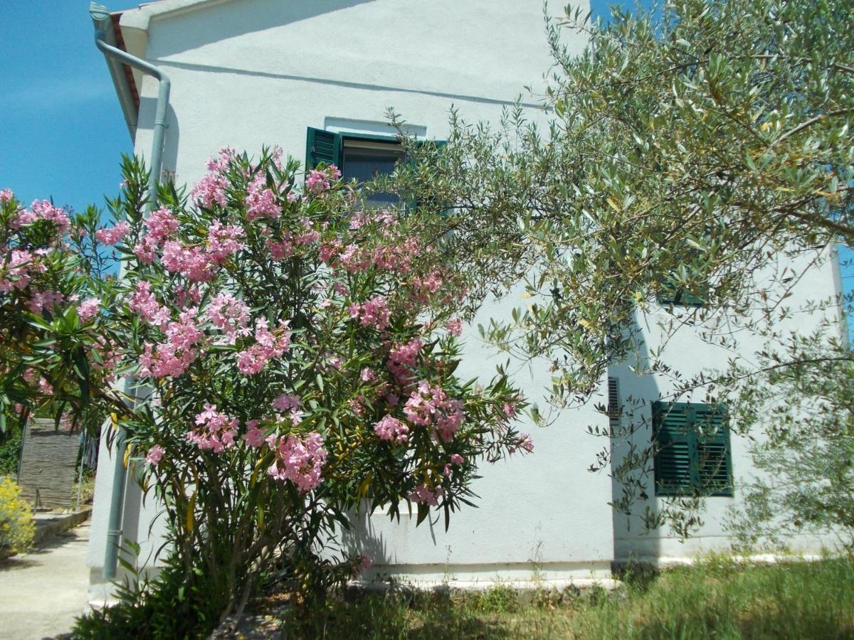 Rustic Holiday Home Miketa Lukoran Dış mekan fotoğraf