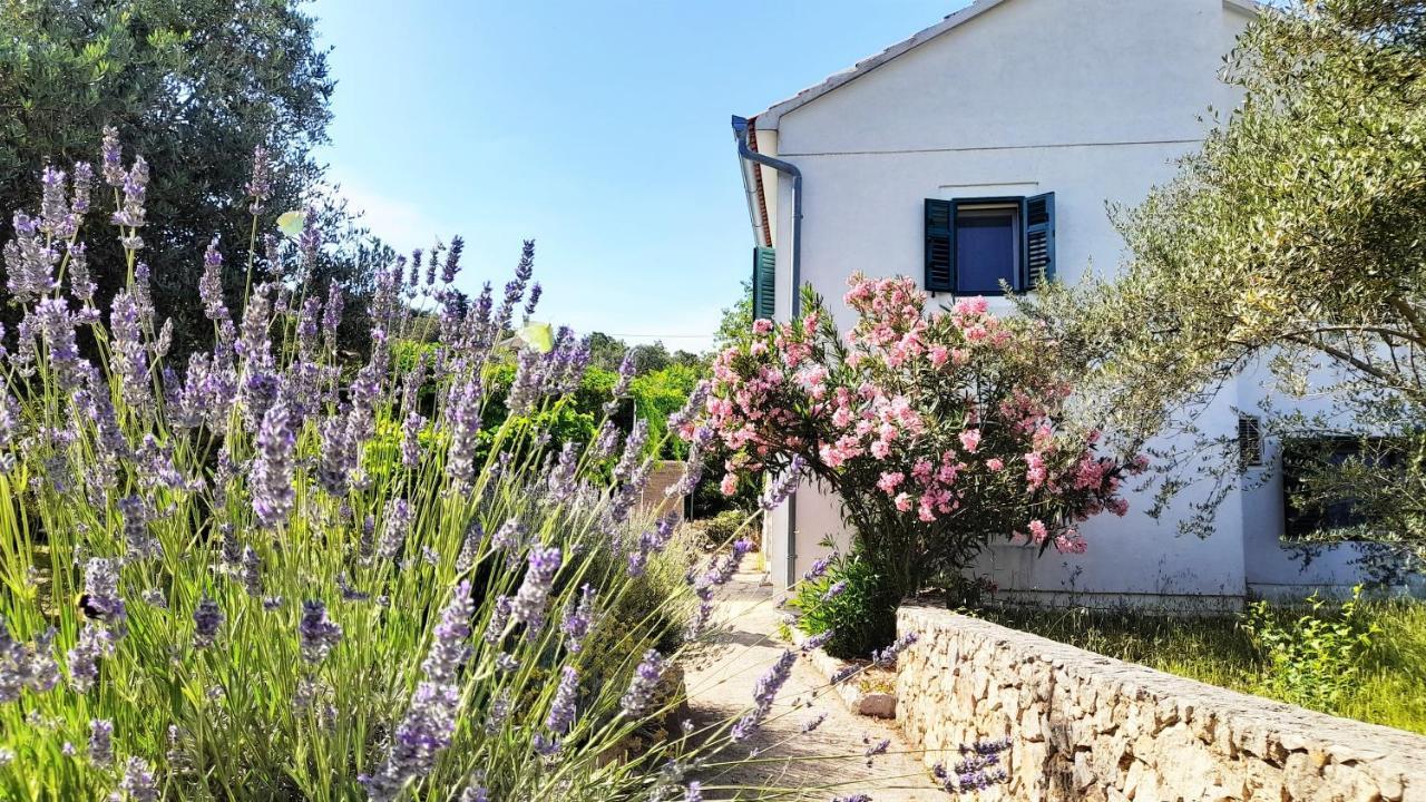 Rustic Holiday Home Miketa Lukoran Dış mekan fotoğraf