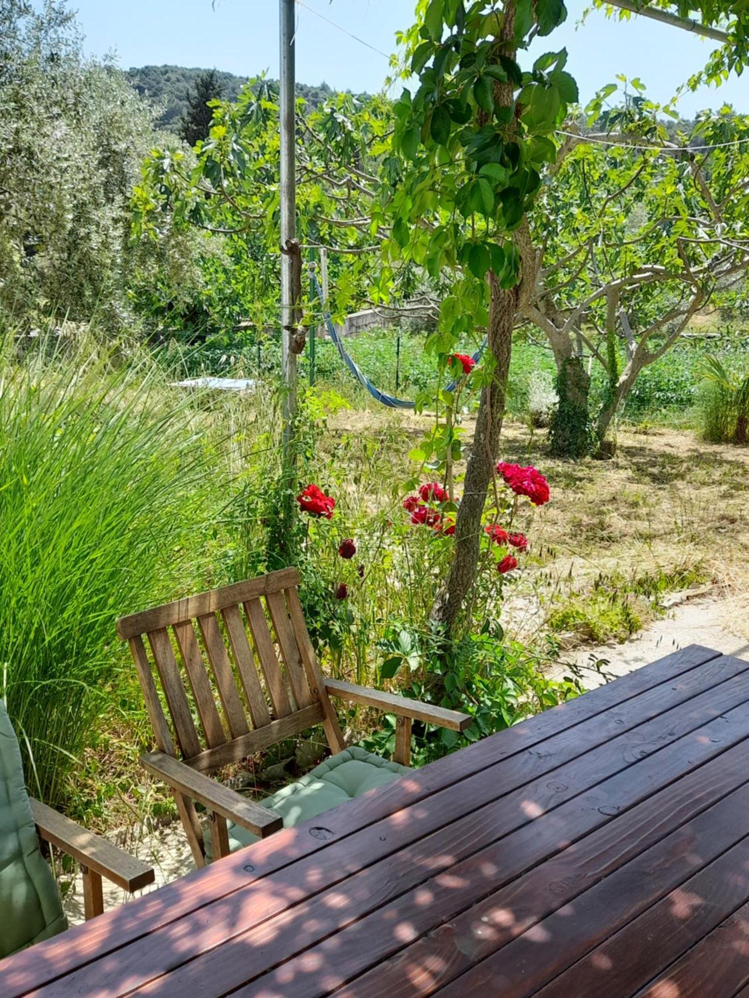 Rustic Holiday Home Miketa Lukoran Dış mekan fotoğraf
