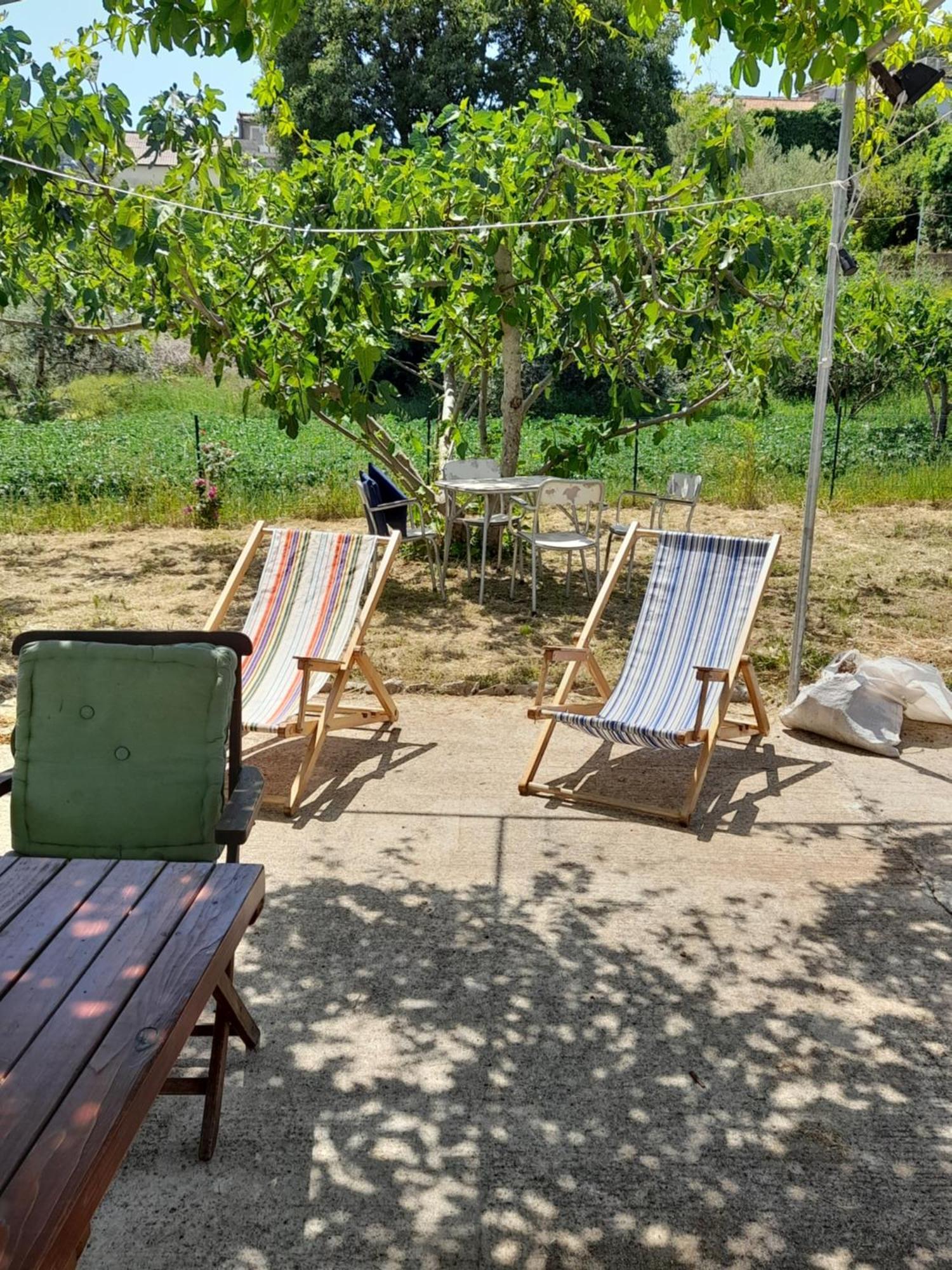 Rustic Holiday Home Miketa Lukoran Dış mekan fotoğraf