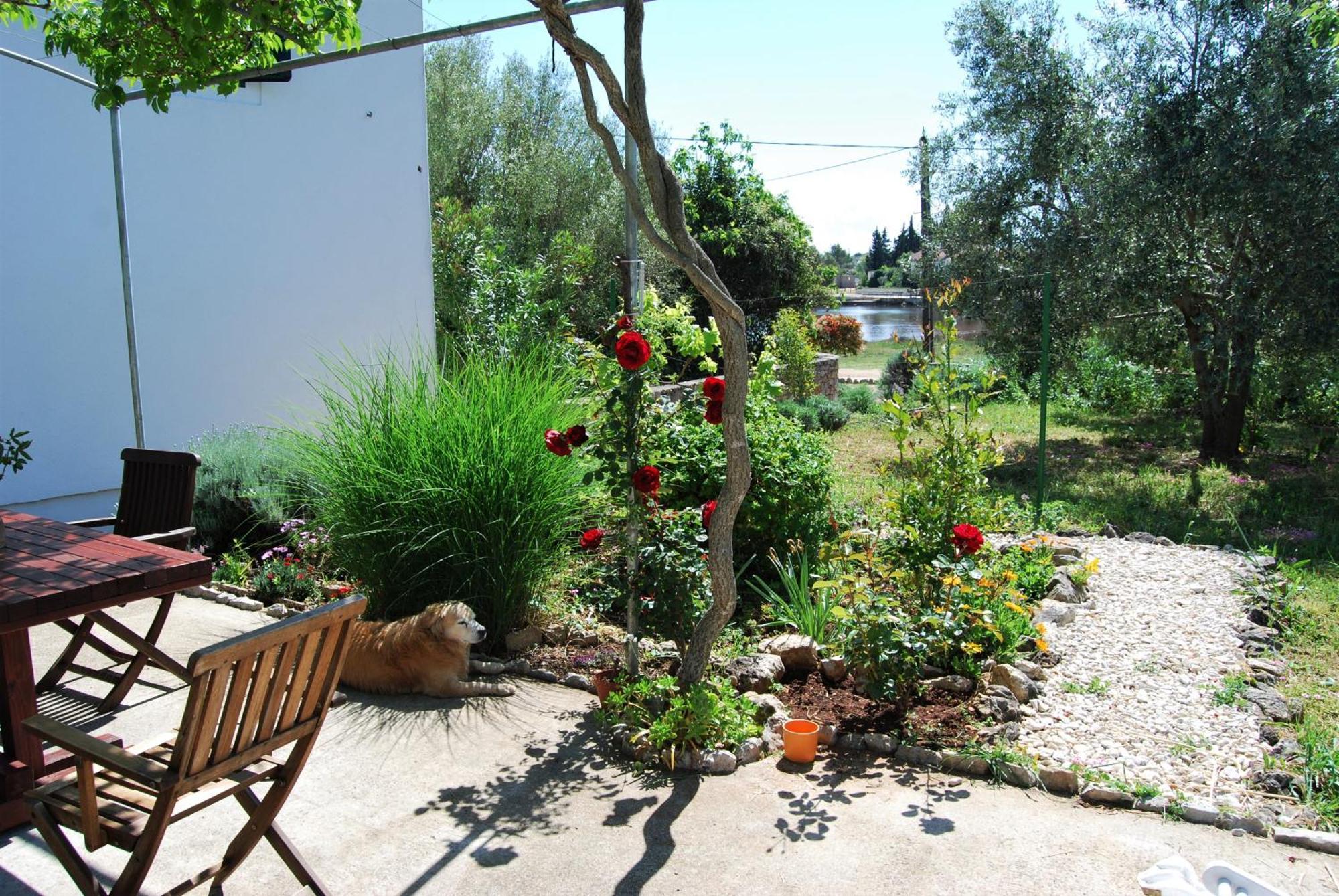 Rustic Holiday Home Miketa Lukoran Dış mekan fotoğraf